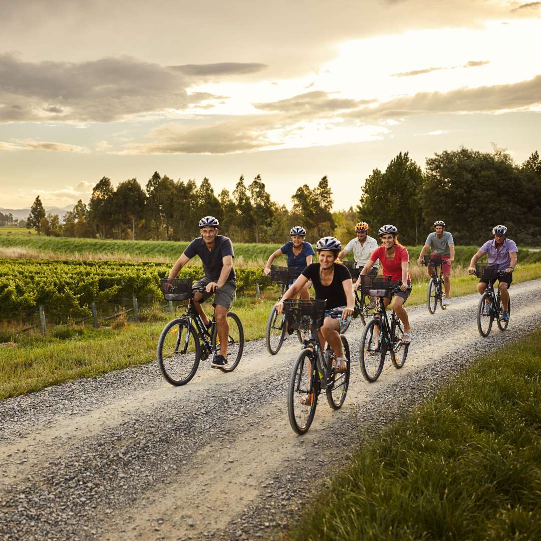 Seff-guided biking discovering wineries in Marlborough